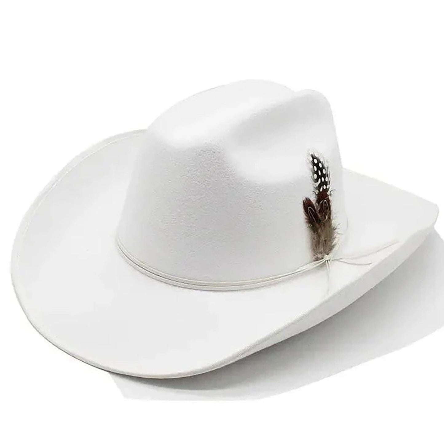Cowboy Hat with a Feather