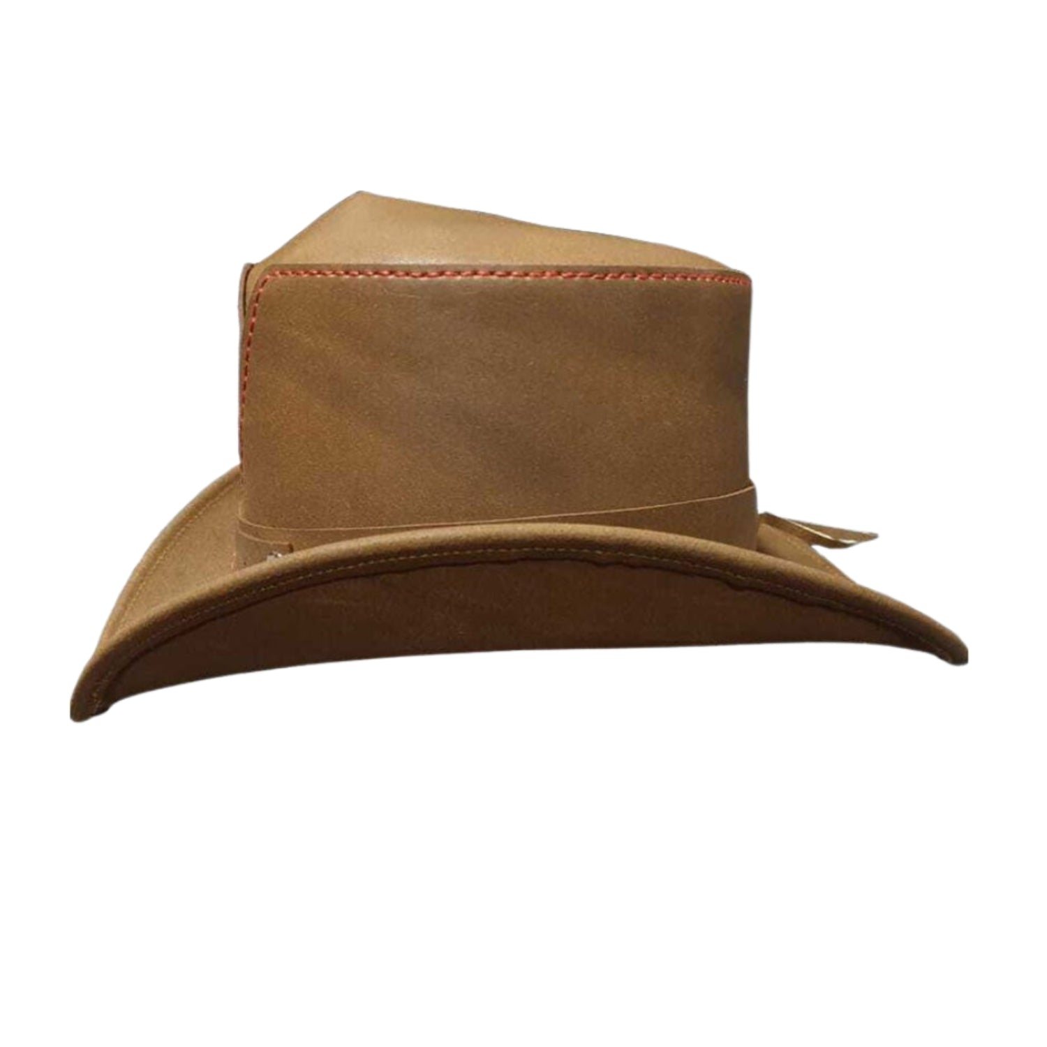 The Horned Rambler Top Hat back view