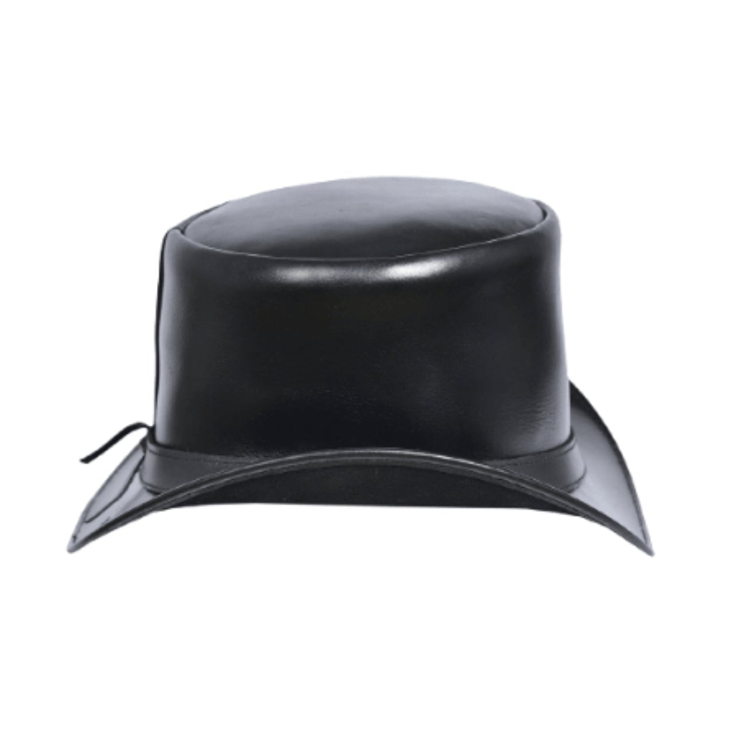 Shiny Top Hat back view