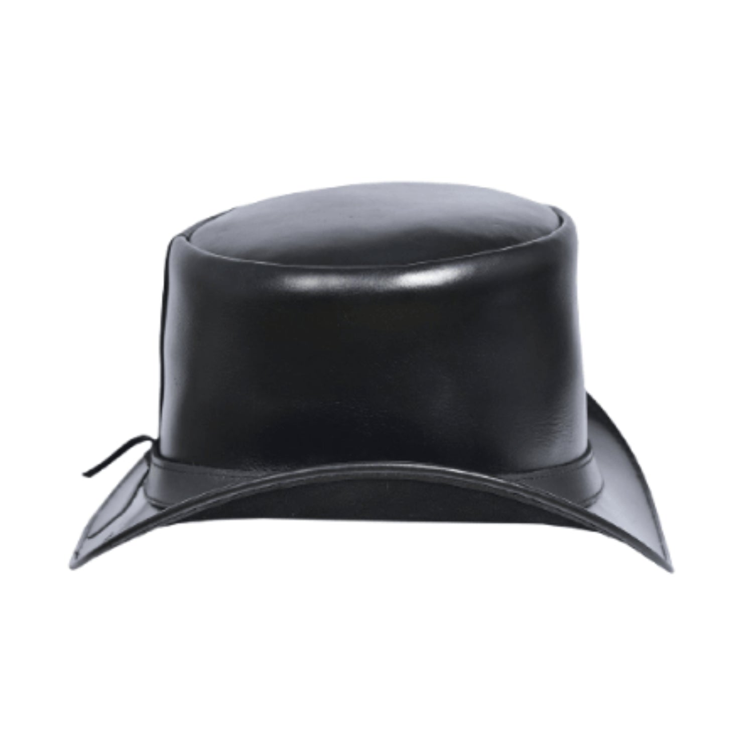 Shiny Top Hat back view