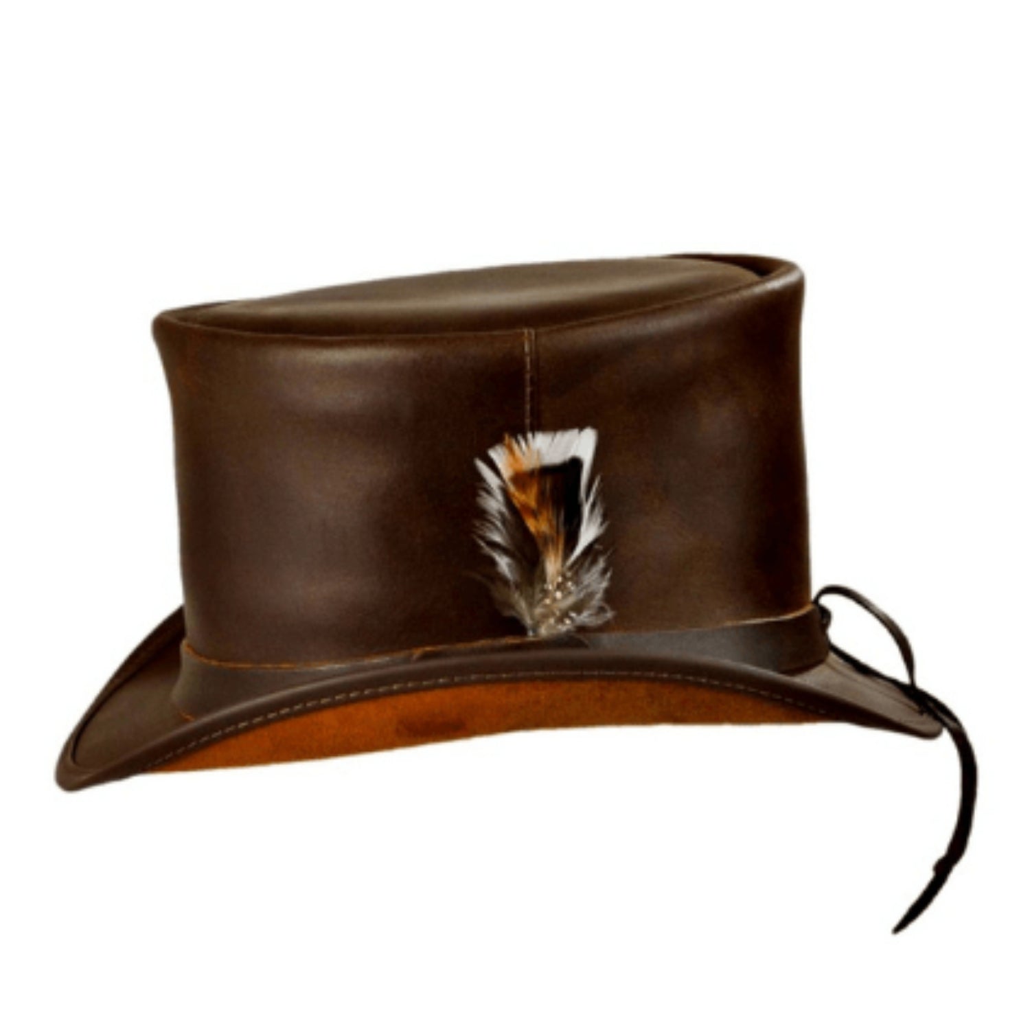 Feather Top Hat back view