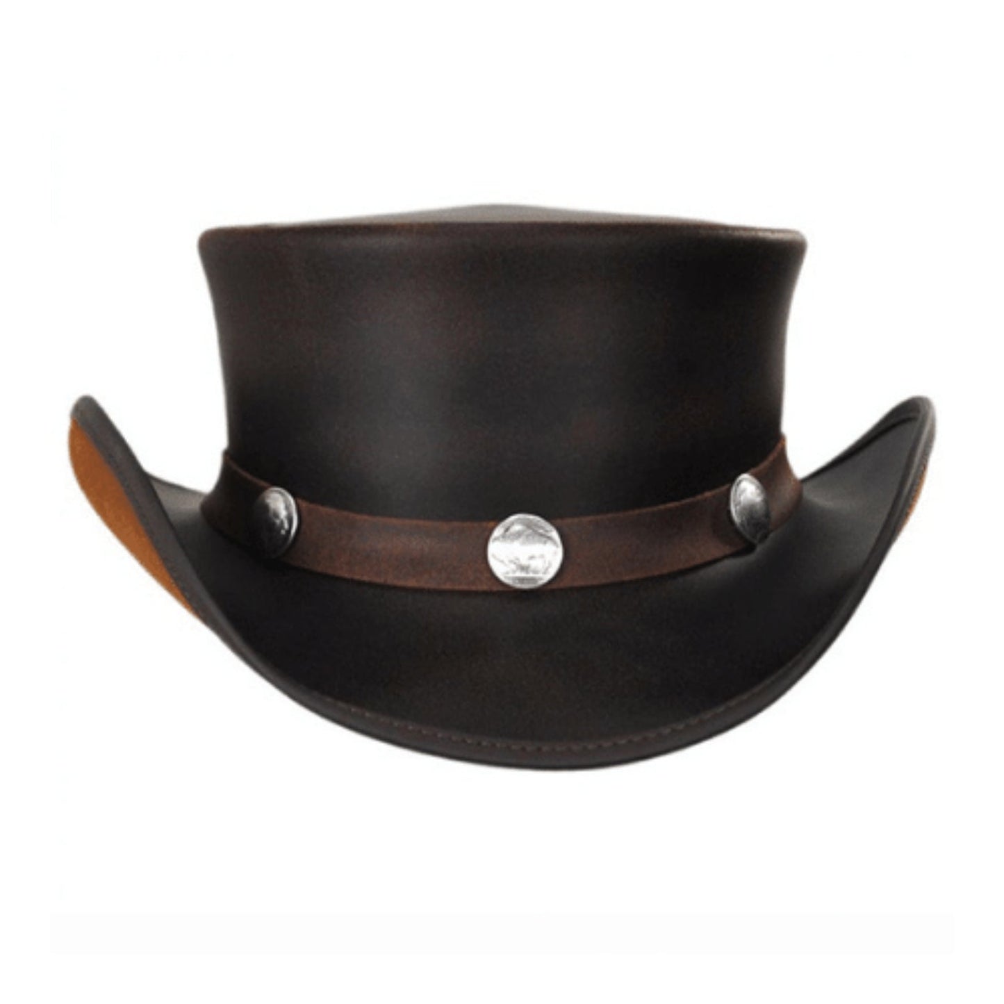 Dark Brown Hat side view