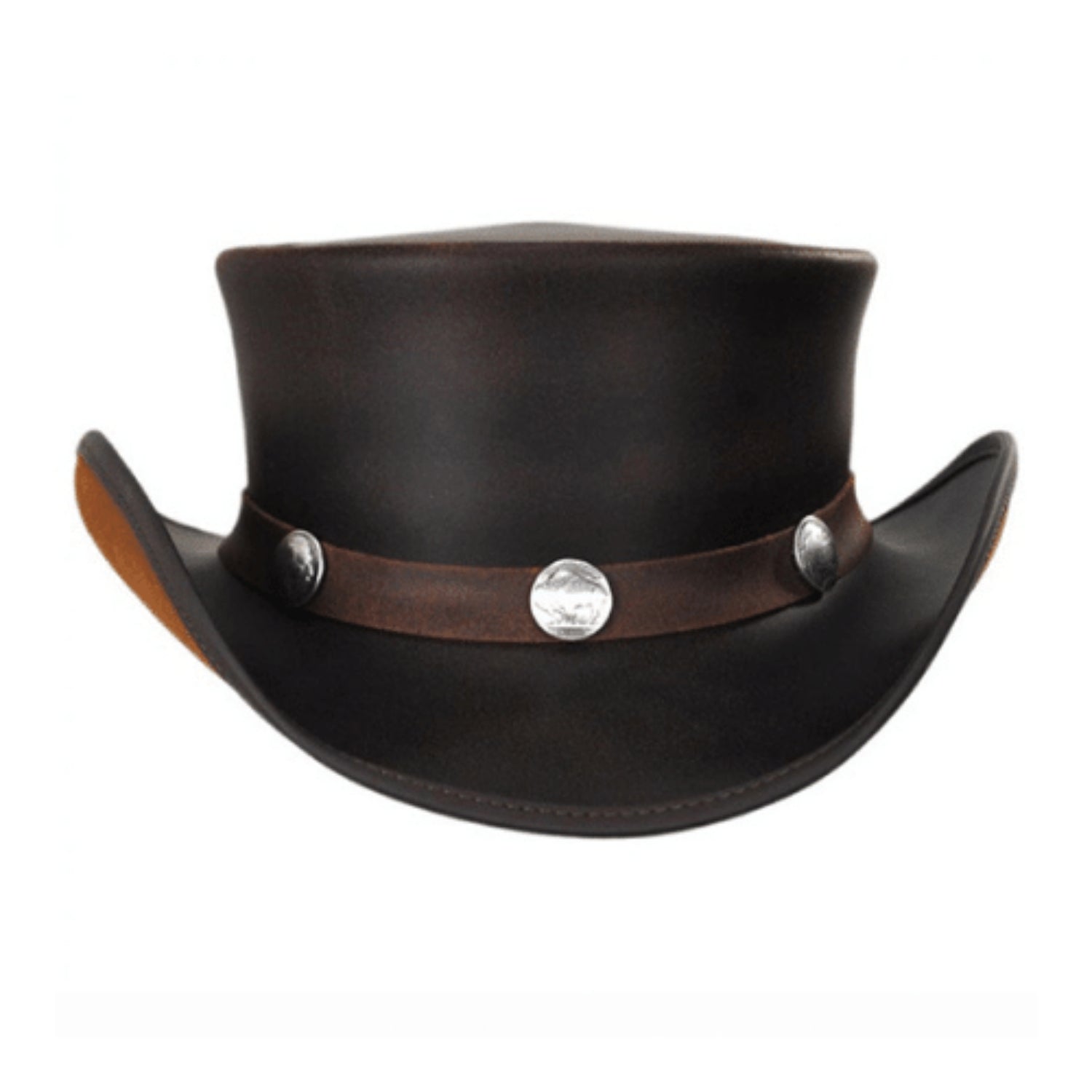Dark Brown Hat side view